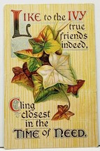 Like the Ivy True Friends Indeed Poem Fall Foliage Leaves Yamhill OR Postcard I4 - £4.66 GBP