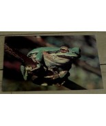 Nice NEVER USED Vintage Blank Greeting Card, GREAT CONDITION - $2.70 CAD