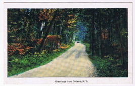 Postcard Greetings From Ontario New York Country Road - £3.04 GBP