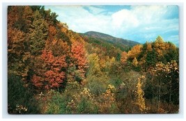 Vintage Gorgeous Fall Colors Fightin Creek Gap Great Smoky Mountains Pos... - $5.95