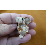 Y-KOA-18 little red white KOALA Australia figurine carving SOAPSTONE PER... - $12.32 CAD