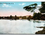 Vista Da Riva Wolfeboro Nuovo Hampshire Nh Unp Udb Cartolina W13 - $3.03