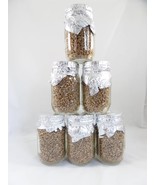 6 Rye Grain Mushroom Substrate Jar ( PINT SIZE) Pre-Sterilized Ready To ... - $51.95