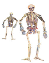 Lot of 2 Vintage Halloween Hinged Paper Cutout 53 in 27 in Skeleton Wall Decor - £23.18 GBP