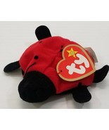 AG) TY Teenie Beanie Babies Lucky the Ladybug Stuffed Toy - £4.65 GBP