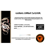 LEARN GLOBAL COMBAT SYSTEM! BEGINNER TO 1ST DAN BLACK BELT MARTIAL ARTS ... - $26.18