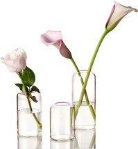 Zens Glass Bud Vases Set Of 3, Small Cylinder Clear Glas Vase For Flowers - £30.66 GBP