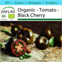 SAFLAX Gift Set - Organic - Tomato - Black Cherry - 10 certified organic seeds   - £6.46 GBP