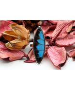 Navia Jewelry Butterfly Wings Papilio ulysses Silver Ring NR-9U-10 - $2,109.38 MXN
