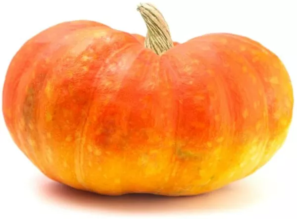 20 Cinderella Pumpkin Seeds For Planting Rouge Vif D’Etampes Usa Seller - £15.88 GBP