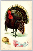 Giant Turkey Hearty Thanksgiving Greeting Embossed 1915 DB Postcard K3 - £3.08 GBP