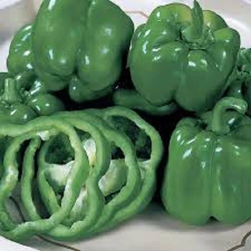 California Bell Pepper Bell Pepper Variety In The World US Fast Shipping - $1.99