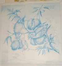 * TRI CHEM 7892 TROPICAL BREAKFEAST BIRD WATCHERS Parrots Picture to paint - $224.77 MXN