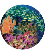 Amazing Circular/Round 1000 Piece Jigsaw Puzzle Robert Frederick Factory... - $17.68 CAD