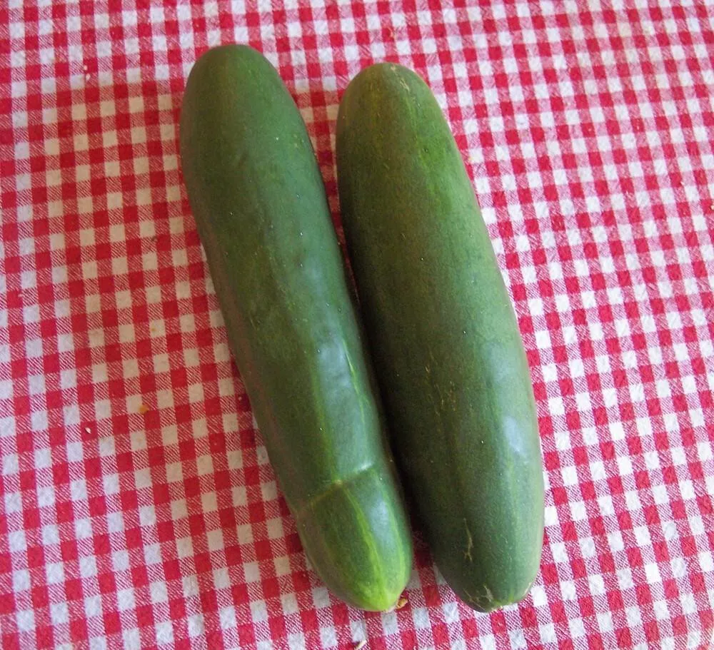 CLK 25 Seeds Thunder Cucumbers Planting Edible Food Canning Pickling Her... - $8.97