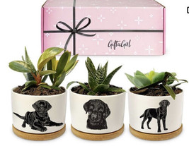 Set Of Tree Labrador Planters-Open Box-ceramic-Open Box/No Original Box - $47.87
