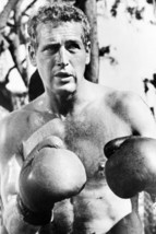 Paul Newman Cool Hand Luke Barechested Boxing Gloves 18x24 Poster - $23.99