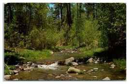 Rio Ruidoso River New Mexico Unused Postcard - £39.10 GBP