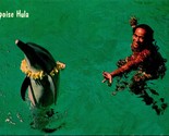 Porpoise Dolphin Hula Sea Life Park Oahu Hawaii Chrome Postcard B10 - £5.41 GBP