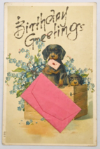 Antique 1900&#39;s Embossed Black &amp; Tan Brown Dog Birthday Greetings Postcard - £12.62 GBP