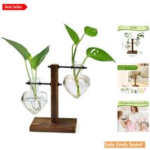 Retro Wooden Stand Plant Terrarium with Heart-Shaped Glass Bulb Set for ... - $24.70