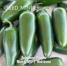 Pepper Jalapeno 50 Organic Seeds Heirloom Hot - £5.97 GBP