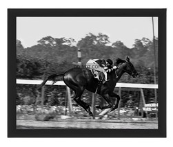 War Admiral Champion Racehorse On Track Belmont Stakes 8X10 B&amp;W Framed Photo - £15.79 GBP