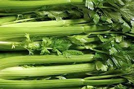Celery Seed, Tendercrisp, 500 Seeds, Heirloom, Organic, Non GMO, for Gardening - £5.60 GBP