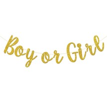 Boy Or Girl Banner Gender Reveal Party Hung Bunting Pregnancy Announceme... - $10.99