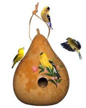 GOLDFINCH BIRDHOUSE - Hand Painted Gourd Bird House USA - $53.99