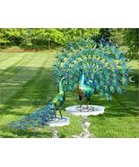 Zaer Ltd. Set of 2 Extra Large Colorful Peacocks with Acrylic Jewel Accents - £934.80 GBP