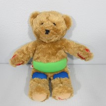 Rufus Juvenile Diabetes BAB Build a Bear Dark Brown 14 inch Plush Stuffed Teddy - £13.61 GBP