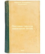 Pikhtovaya tayga na predgor&#39;yakh Altaya. In Russian /Fir taiga in the fo... - $399.00