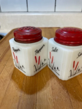  Vintage Tipp USA Cattails salt and pepper shaker with 4-sided graphics VGUC - £52.11 GBP