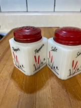  Vintage Tipp USA Cattails salt and pepper shaker with 4-sided graphics ... - £52.08 GBP