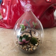 Beautiful Hanging Glass Terrarium - £19.60 GBP