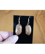 PP1-1 Real 1&quot; MOOSE POOP doo dangle gold tone earrings WEIRD poo doo fun... - $25.91 CAD