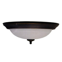 Ge Energy Star Ceiling Light - $49.30