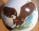 Knob eagle thumb155 crop