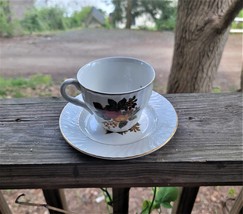 6 Enoch Wedgewood ( Tunstall ) LTD English Harvest Cups &amp; Saucers - £18.94 GBP