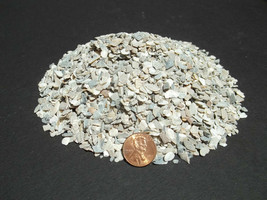 Crushed Oyster Shell Medium Dyna Rock Cactus Cacti Seedling Soil Media 10 Lb Bag - £23.97 GBP