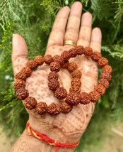 2 Pc Natural RUDRAKSHA 5 mukhi Rudraksh Bracelet Adjustable Unisex, 9-10... - £10.70 GBP