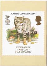 United Kingdom Postcard Stamps Nature Species At Risk 1986 31p Wild Cat - £2.36 GBP