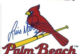 luis mateo Signed autographed 4x6 photo Cardinals Minor league - €8,39 EUR