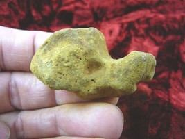 (pp463-22) Genuine Fossil TURTLE POOP Washington state Coprolite DUNG WE... - $15.88