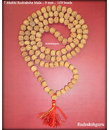 7 Mukhi Rudraksha Mala / 7 Face Rudraksh Mahalaxmi Mala - 109 - Certified - $178.65 CAD