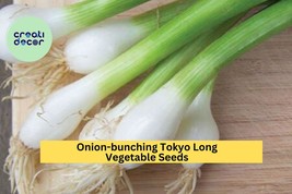 Onion Bunching Tokyo Long Seeds – 1g for Planting, Heirloom Variety, Mil... - $11.05 CAD