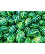 Congo Watermelon Seeds 20 Ct Fruit 3550 Lbs Sweet Fresh Garden - $77.59 MXN