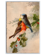 Lot of 4 Watecolor Birds Edition Stohli DB Postcards Z7 - $187.50 MXN