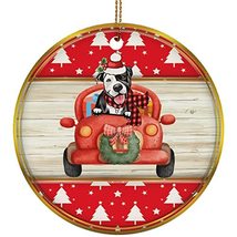 hdhshop24 Funny American Pitbull Terrier Dog Ride Car Ornament Gift Pine Tree Pa - £15.61 GBP